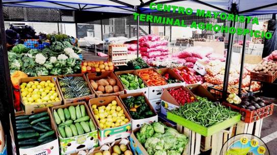AGRICULTORES FELICITAN AL ALCALDE FERREIRA POR LOGRO DEL TERMINAL AGROPECUARIO DE ALTO HOSPICIO