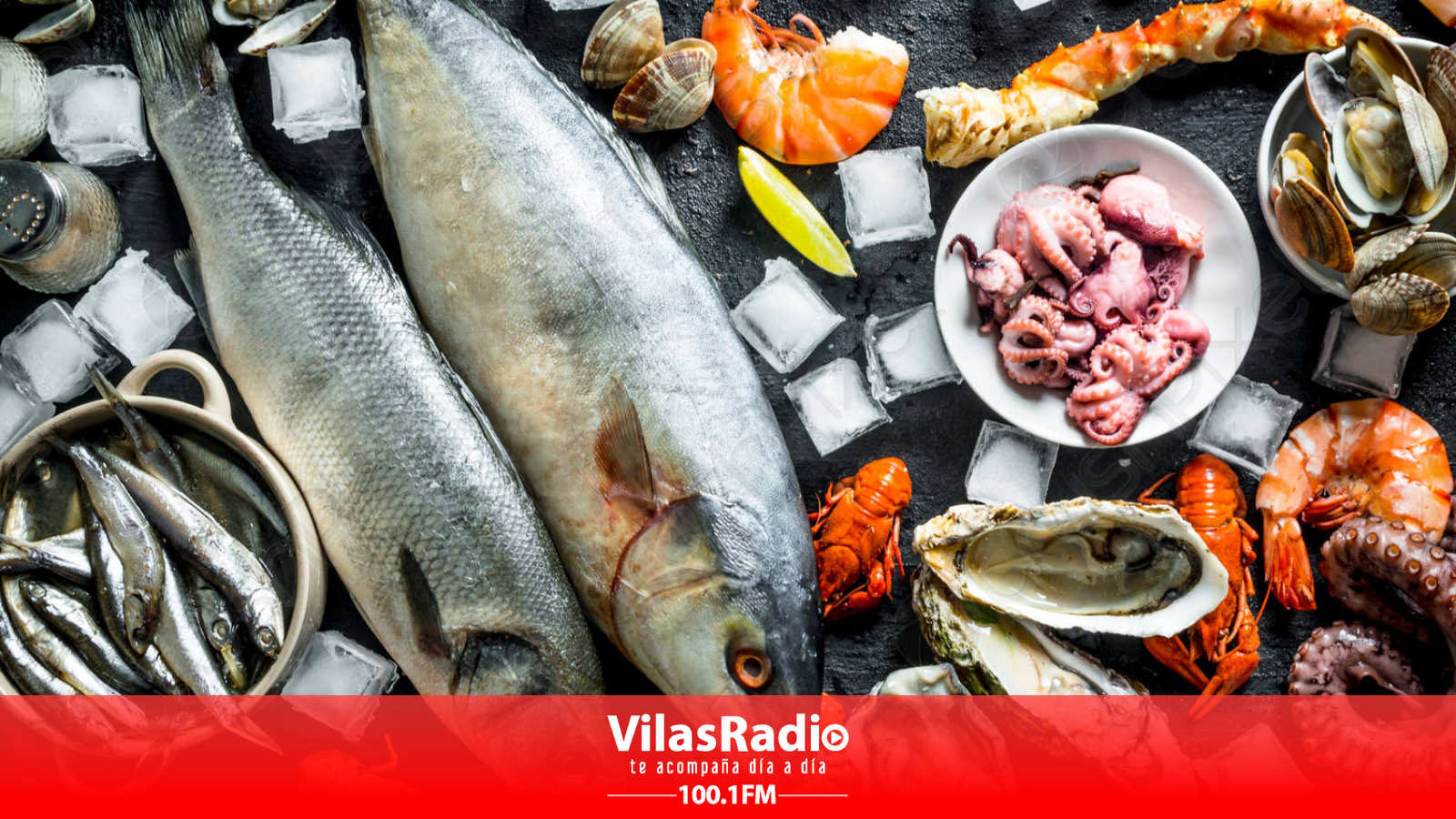 INTOXICACIÓN POR MAREA ROJA: LA IMPORTANCIA DE RECONOCER LOS SÍNTOMAS AL  MOMENTO DE COMER MARISCOS CONTAMINADOS – Vilas Radio