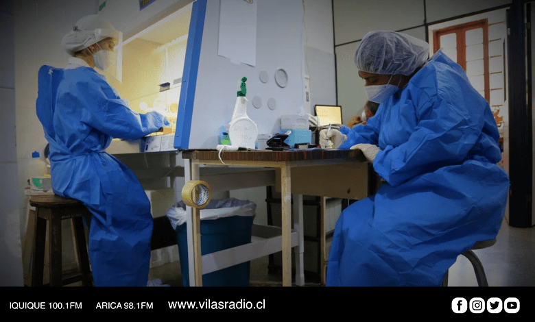 PARAGUAY ADVIERTE SOBRE UNA NUEVA OLA DE CONTAGIOS DE LA COVID-19: LOS CASOS AUMENTARON EN UN 125%
