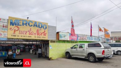 Mercadillo Puerta Norte.